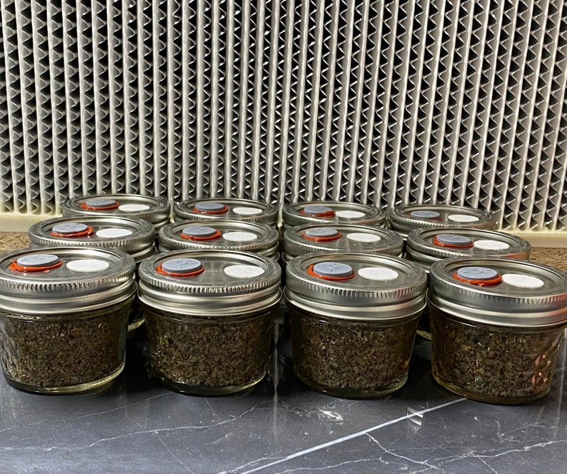 Pf Tek 12 Pack 4oz Sterilized Brf Jars. Etsy