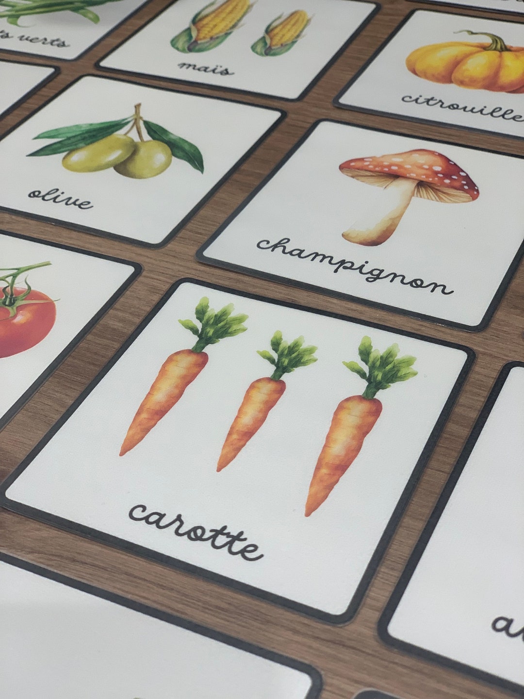 Large Watercolor Vegetable Nomenclature Cards Etsy