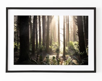Forest Wall Art Print | Sunlight Through Trees Photography | Nature Digital Download | Woodland Printable Home Decor