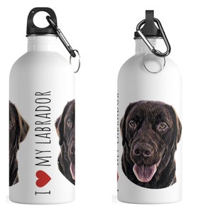 Botella de agua de acero inoxidable Chocolate Labrador Retriever 14oz, perros, botella de agua para perros, laboratorio de chocolate, regalo para mamás de perros, regalo, regalo para dueños de perros