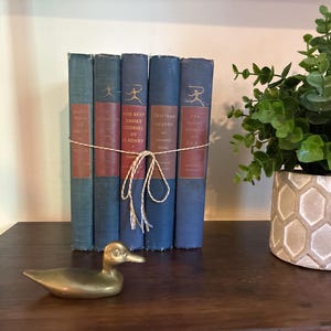 May include: A set of five vintage hardcover books with blue and red spines, tied together with a thin tan twine string. A small brass duck figurine sits in front of the books, and a green artificial plant in a white hexagonal pot is nearby.