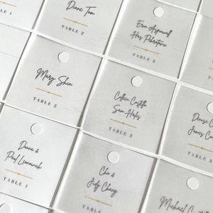 Pu&ograve; includere: Una collezione di segnaposto quadrati in acrilico satinato traslucido con nomi e numeri di tavolo stampati in nero. Ogni carta presenta un piccolo foro circolare nella parte superiore e una sottile linea orizzontale dorata tra i nomi.