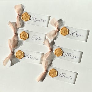 Pu&ograve; includere: Sei segnaposto rettangolari traslucidi con nomi scritti a mano tra cui Elizabeth, Roger, Sue, Darren, Henry e Charles. Ogni carta &egrave; decorata con un sigillo in ceralacca dorata raffigurante un rametto floreale e un nastro di seta rosa pallido sfilacciato.