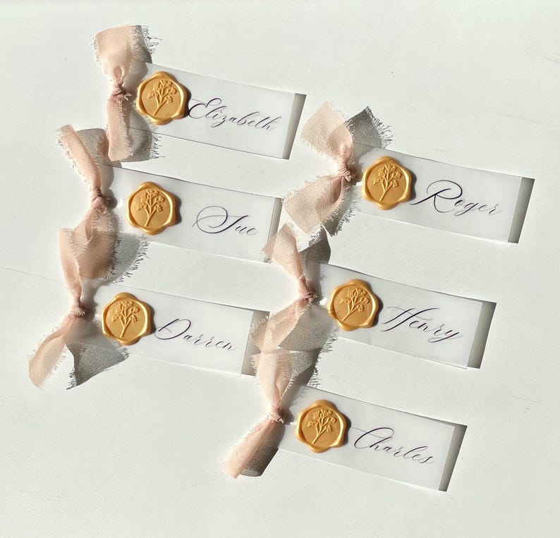Pu&ograve; includere: Sei segnaposto rettangolari traslucidi con nomi scritti a mano tra cui Elizabeth, Roger, Sue, Darren, Henry e Charles. Ogni carta &egrave; decorata con un sigillo in ceralacca dorata raffigurante un rametto floreale e un nastro di seta rosa pallido sfilacciato.