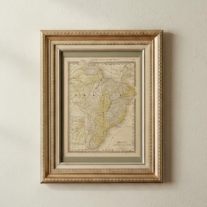 Lithographed Map From McNally Indexed Atlas of the World 1881 Brazil Framed