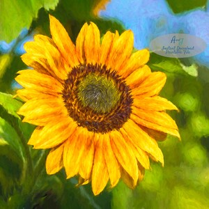 Grand art de tournesol, impression de tournesol botanique, téléchargement instantané, aquarelle de fleur numérique, affiche imprimable, art du soleil d’été