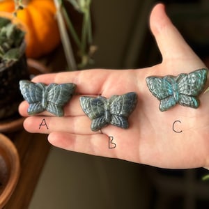 Labradorite Butterfly Carving - choose your own