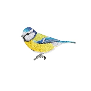 Op de afbeelding: Een blauwe gaaien met een blauwe kop, gele borst en blauwe vleugels. De vogel zit op een tak met zijn vleugels uitgespreid.