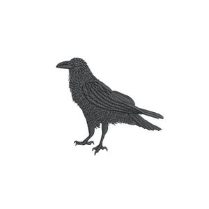 Puede incluir: Un cuervo negro con plumas detalladas, posado con las alas plegadas y la cabeza girada hacia un lado.
