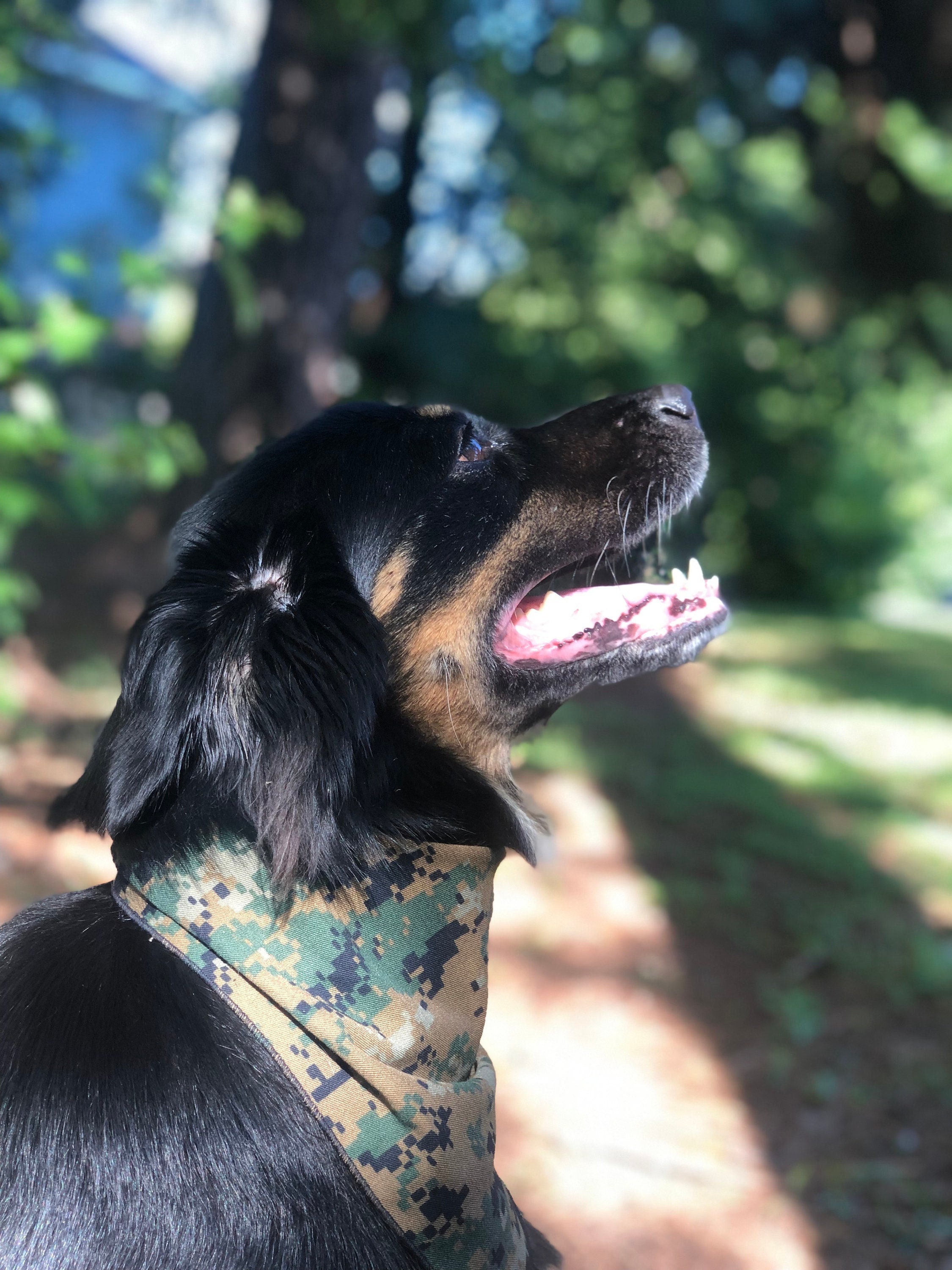 Marine Corps Bandana Etsy