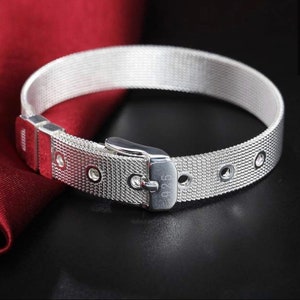 Silver mesh shop belt