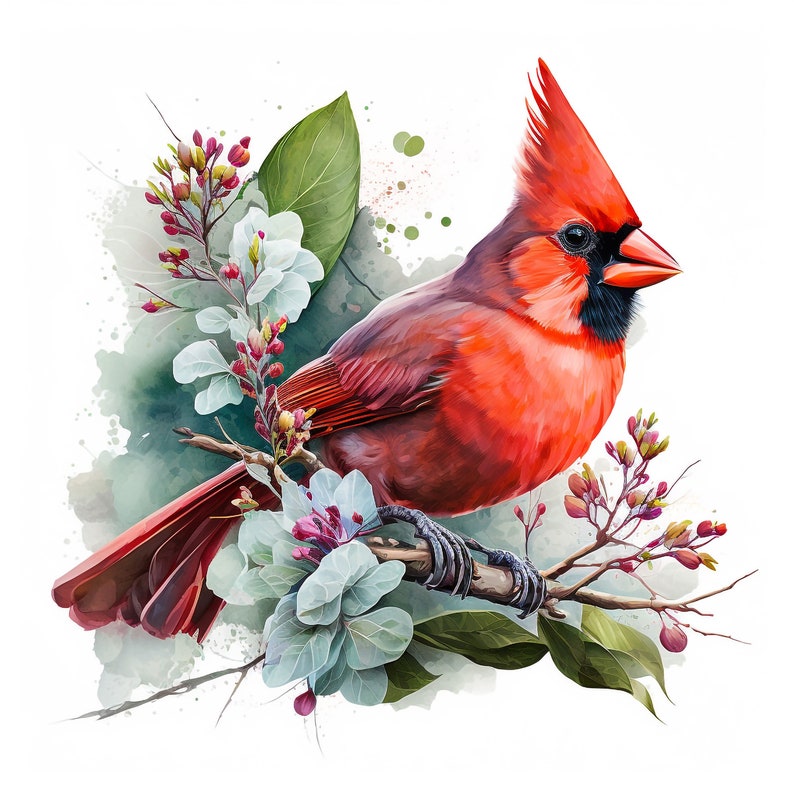 Watercolor Red Cardinal 10 Digital Clipart Bundle High Quality Images , Printable Art , JPEGs Digital Download Custom Print image 4