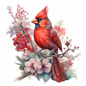 Watercolor Red Cardinal 10 Digital Clipart Bundle High Quality Images , Printable Art , JPEGs Digital Download Custom Print image 8