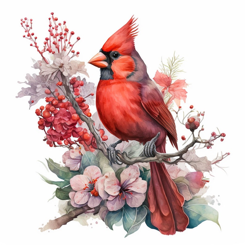 Watercolor Red Cardinal 10 Digital Clipart Bundle High Quality Images , Printable Art , JPEGs Digital Download Custom Print image 8