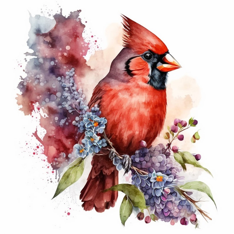 Watercolor Red Cardinal 10 Digital Clipart Bundle High Quality Images , Printable Art , JPEGs Digital Download Custom Print image 5