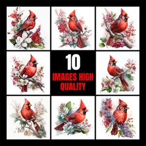 Watercolor Red Cardinal 10 Digital Clipart Bundle High Quality Images , Printable Art , JPEGs Digital Download Custom Print image 2