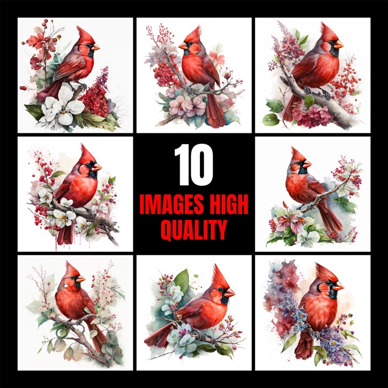 Watercolor Red Cardinal 10 Digital Clipart Bundle High Quality Images , Printable Art , JPEGs Digital Download Custom Print image 2