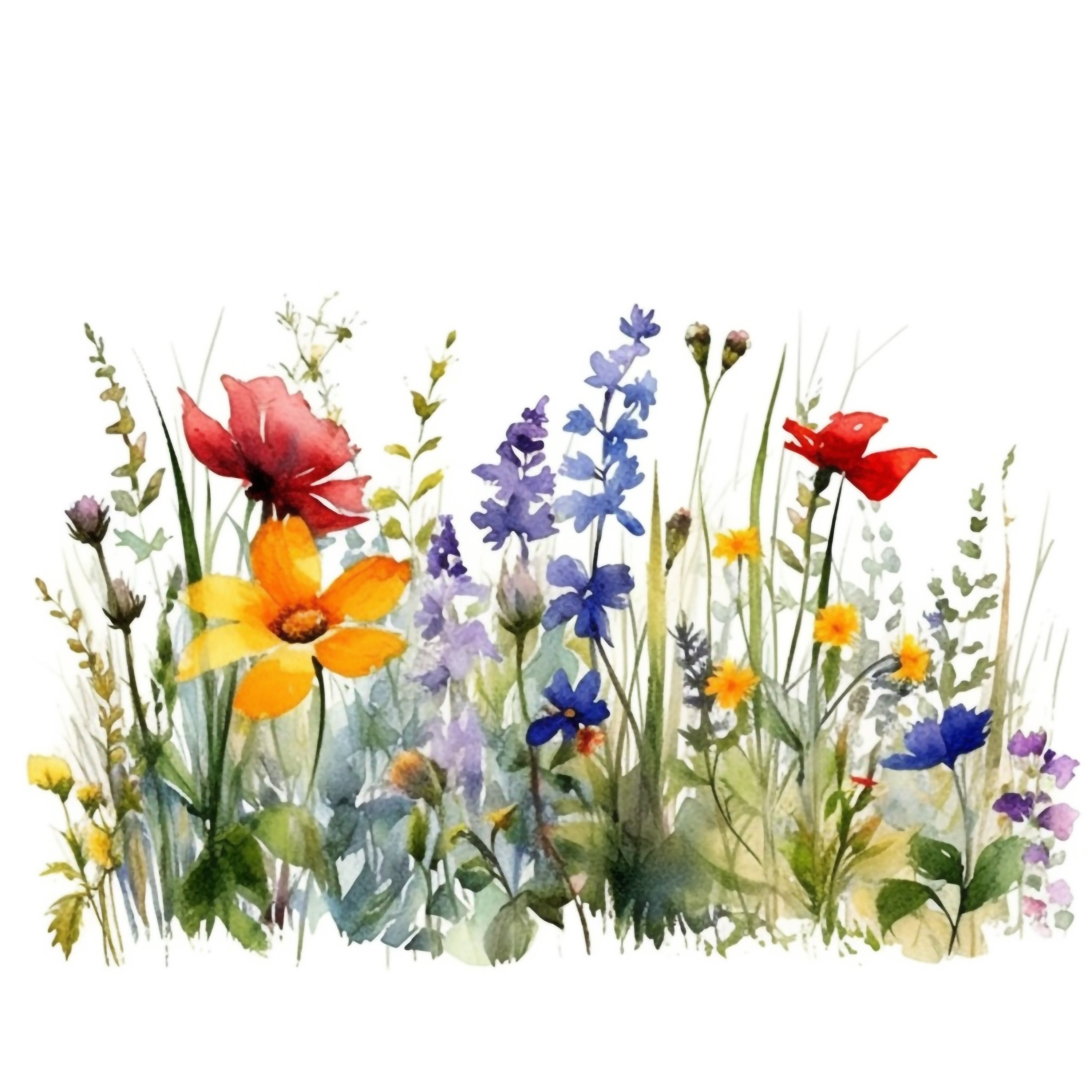 Wild Flowers Clipart 10 Digital Clipart Bundle High Quality Images