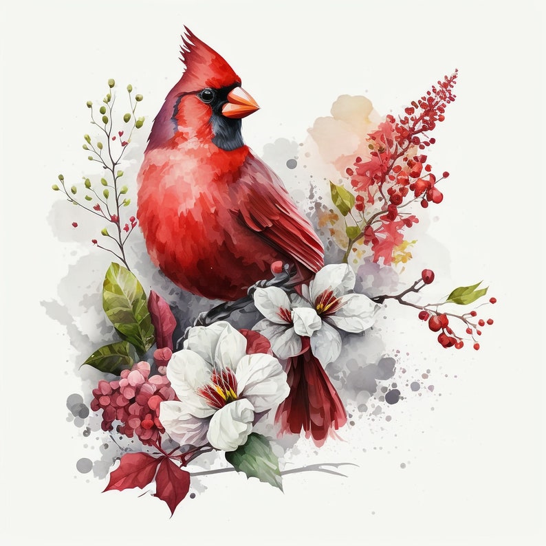 Watercolor Red Cardinal 10 Digital Clipart Bundle High Quality Images , Printable Art , JPEGs Digital Download Custom Print image 1