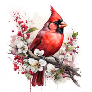 Watercolor Red Cardinal 10 Digital Clipart Bundle High Quality Images , Printable Art , JPEGs Digital Download Custom Print image 7