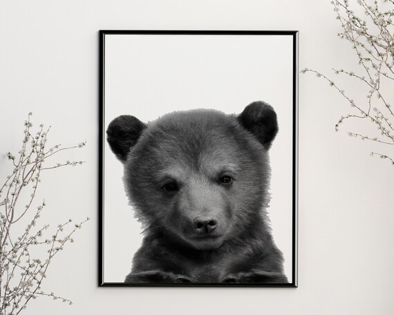 Black and best sale white woodland nursery