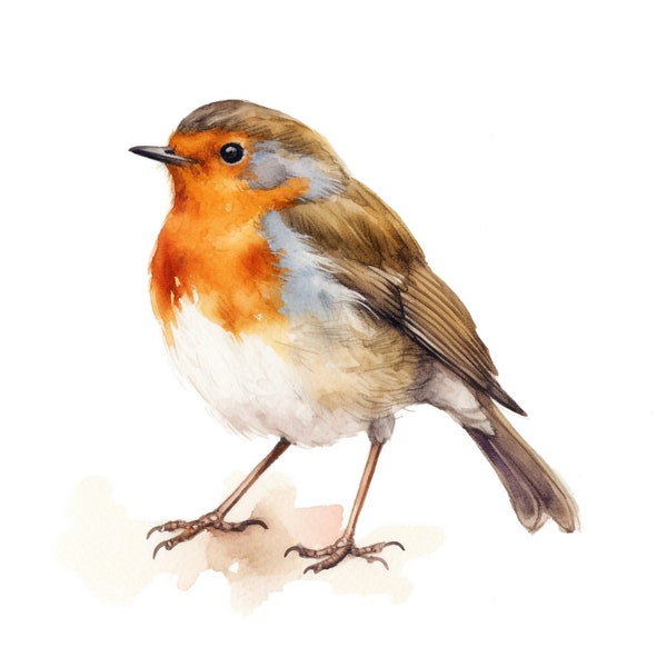 Aquarelle Robin - 10 Digital Clipart Bundle - Images de haute qualité , Art imprimable , JPEG - Téléchargement numérique - Impression personnalisée