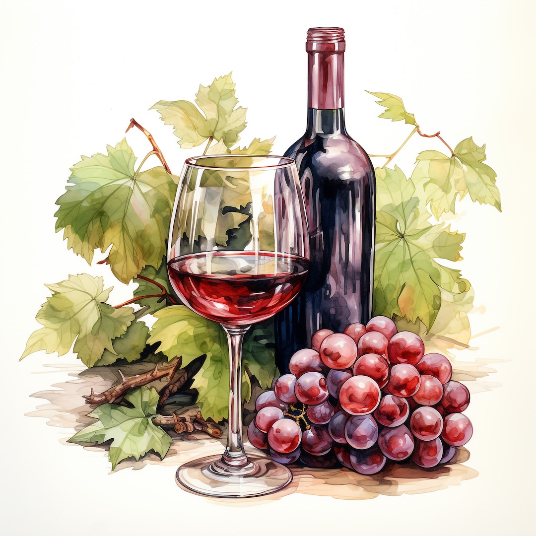 Wine Clip Art
 Glass of Wine Clipart Set of 10 Digital Clipart Bundle High Quality