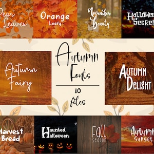 10 種類の秋のフォント バンドル Canva フォント、Cricut フォント、Procreate フォント、ブランディング フォント、商用利用