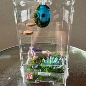 Jumping Spider Arachnid or Invert Invertebrate Enclosure and Starter Kit