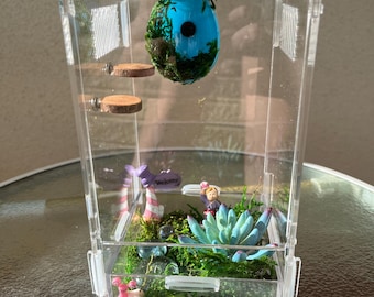 Jumping Spider Arachnid or Invert Invertebrate Enclosure and Starter Kit