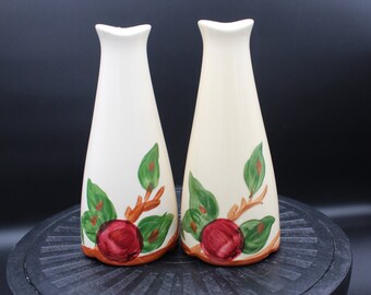 May include: A set of two white ceramic salt and pepper shakers with a red apple and green leaf design.