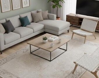 Distressed Brown Area Rug, Modern Framed Style, Soft Polyester