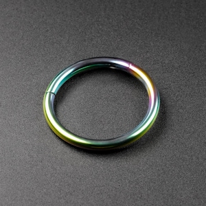 Rainbow PVD Titanium Hinged Segment Ring | Titanium Nose Rings | Hinged Segment Nose Stud Body Jewelry | Mirror Polish ***No TARIFFS!