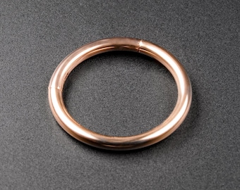 Rosegold PVD Titan Klappring | Titan Nasenringe | Scharnier Segment Nase Stud Körper Schmuck | Spiegelpolitur