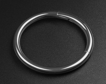 Titanium Hinged Segment Ring | ASTM F-136 Hinged Ring | Nose Piercing Ring | Septum Ring | Sizes 6mm - 12mm | FREE Worldwide Delivery!