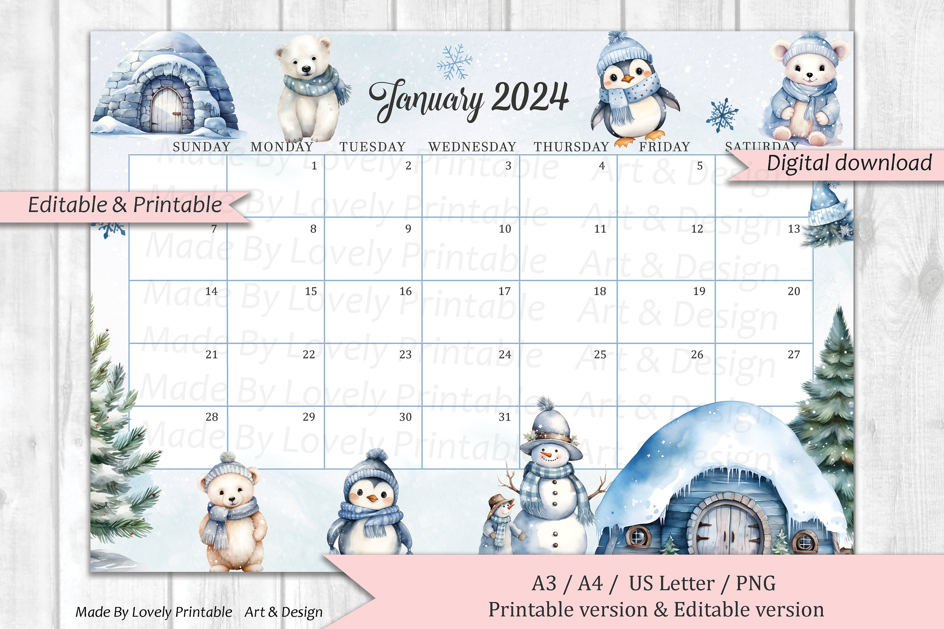 Cats Daily Planner 2024: Make 2024 a Meowy Year! Cute Kitten Year  Organizer: January-December (12 Months) by Happy Oak Tree Press, Paperback