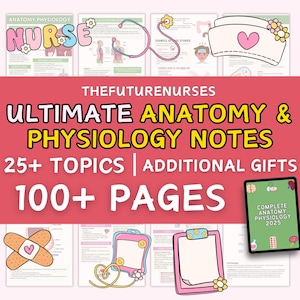 Bundel anatomie en fysiologie, 100+ pagina's - editie 2025, studiegids anatomie, aantekeningen verpleegschool, medische aantekeningen, A- en P-notities