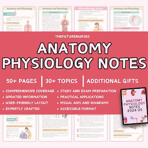 Bundel met studiegids Anatomie en fysiologie, A- en P-aantekeningen, anatomische aantekeningen, aantekeningen fysiologie, anatomie en fysiologie