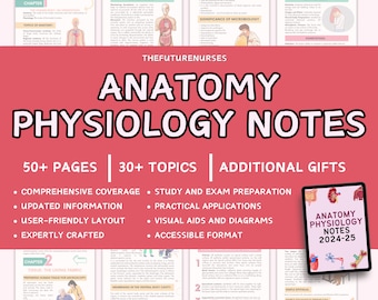 Anatomy & Physiology Study Guide Bundle: Nursing Notes, Flashcards (Digital Download)