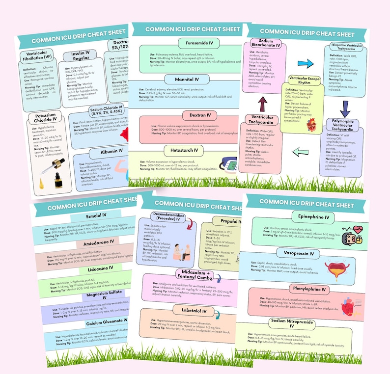 Common ICU Drips Cheat Sheet, 50+ Important Iv Drips, Critical Care ...
