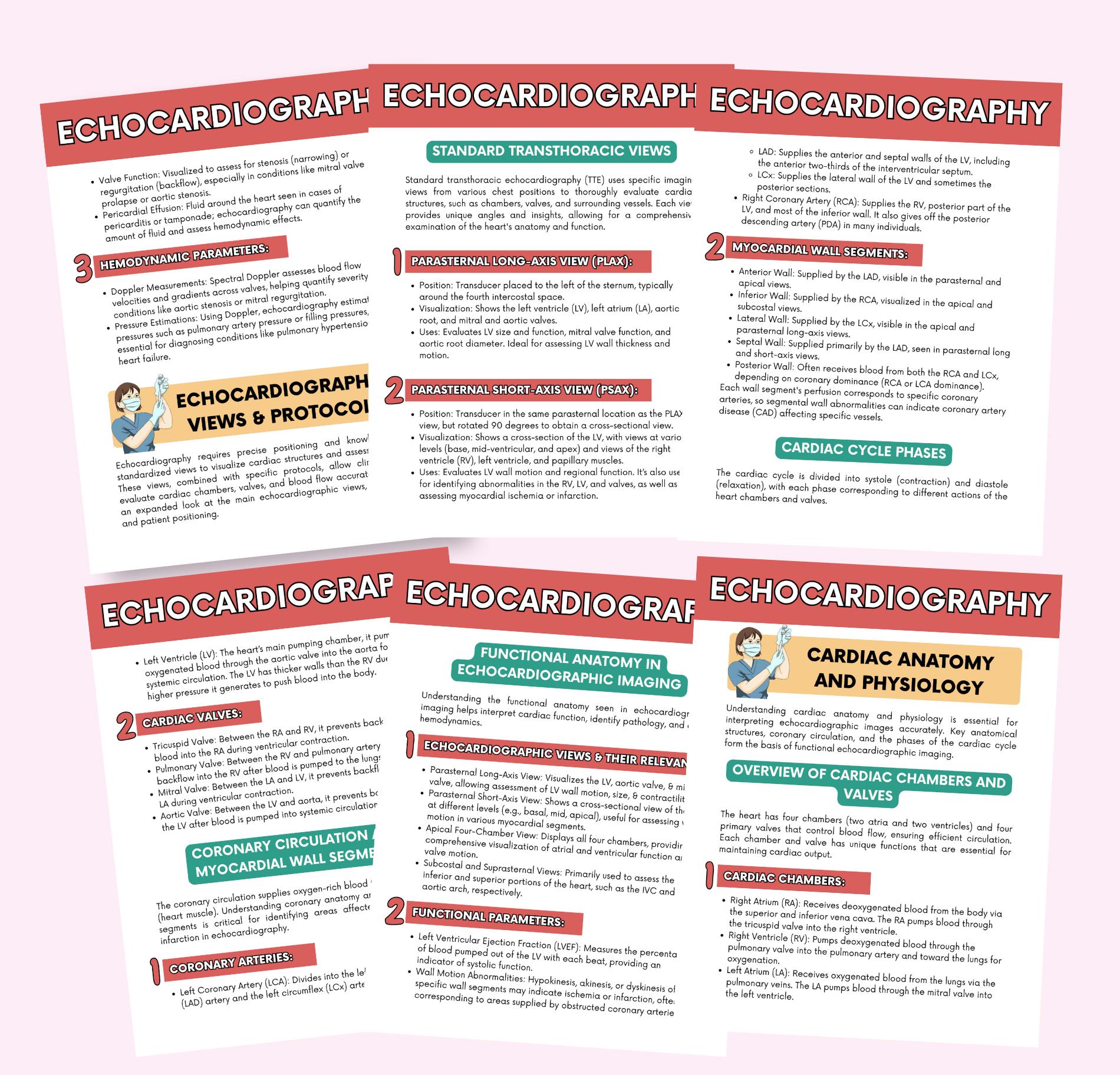 Echocardiography Ultrasound Guide: Cardiac Imaging Techniques Training ...