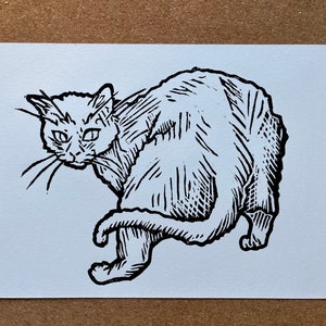 Impresión lino A4 del gato del barrio