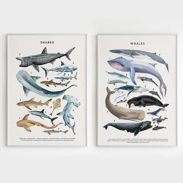 Whale and Shark Poster, Sea Animal Poster, Marine Ocean Animals Prints, Sharks and Whales Chart, Set of 2 Marine Art, Ocean Animals Decor