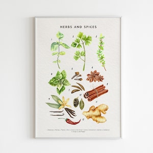 Kräuter und Gewürze, Poster für die Küche, druckbare Wandkunst, druckbare Wandkunst, botanische Dekoration, Montessori Materialien, Kinderzimmer