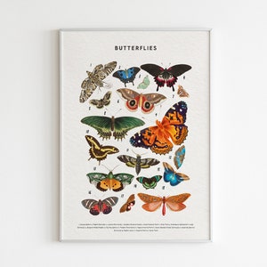 Impresión de mariposas, impresión educativa, tabla de mariposas, arte mural imprimible, decoración Montessori para el hogar, decoración natural para el aula