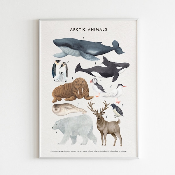 Arctic Animals Nursery Print, Nursery Wall Art, Kids Montessori Educational Posters, Nursery Educational Art for Kids Room