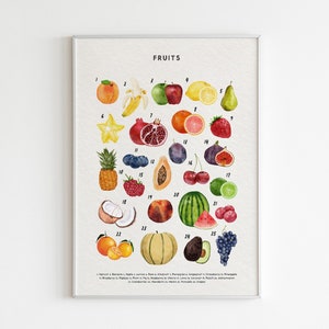 Impresión de frutas, póster educativo Montessori, póster para aula de educación preescolar en casa, póster de aprendizaje para niños, guardería preescolar, niños