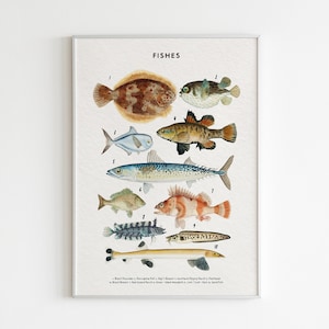 Fische Poster, Poster für Kinderzimmer, Poster für Schule und Kinder, druckbare Kunst, Poster für Fische, Schule Illustration, Schule Illustration