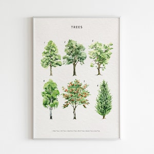 Educational Trees Poster,  Tree Types Print, Printable Wall Art, Botanical,  Montessori Materials Nursery Wall Art Toddler Learning Nature