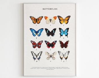 Butterfly Chart Print: Educational Montessori Classroom Decor (Digital Download)